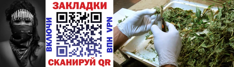 МЕФ Кадников
