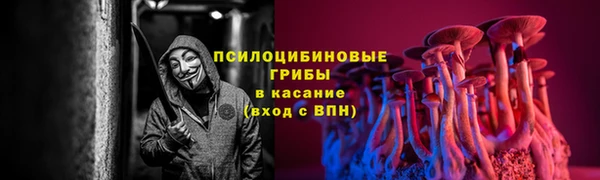 ГАЛЛЮЦИНОГЕННЫЕ ГРИБЫ Волоколамск