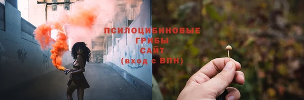 ГАЛЛЮЦИНОГЕННЫЕ ГРИБЫ Волоколамск