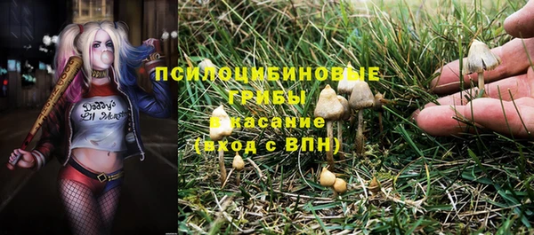 ГАЛЛЮЦИНОГЕННЫЕ ГРИБЫ Волоколамск