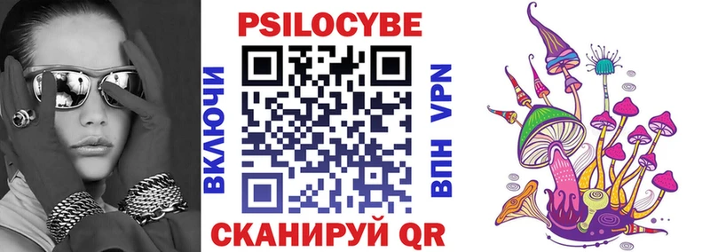 Псилоцибиновые грибы Psilocybine cubensis  сколько стоит  Кадников 